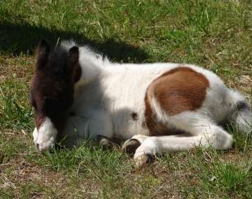 Click to go back