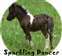 Sparkling Dancer