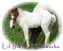Click to view album